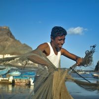 Jemen - Dynamisch wirft der junge Fischer sein Netz